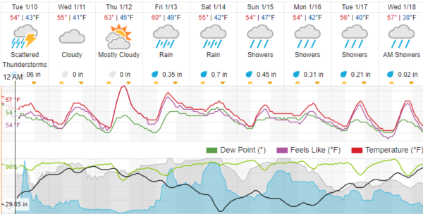 weather forecast