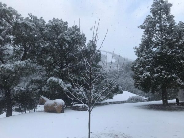 Snow in Creston. Photo by Marti Walton.