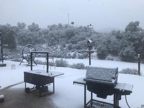 Snow in Creston. Photo by Marti Walton.