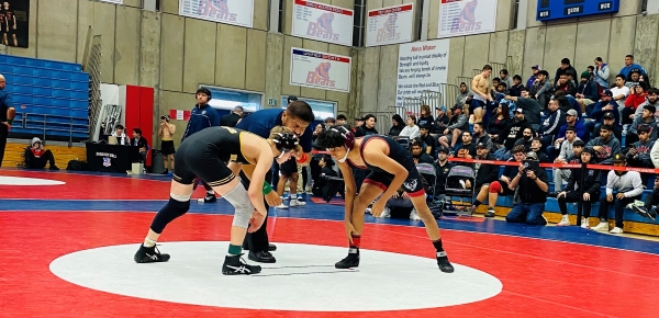 Dominic Marquez paso robles high school wrestling