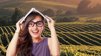 college wine grapes