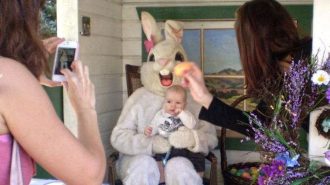 easter bunny