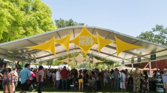 paso wine fest