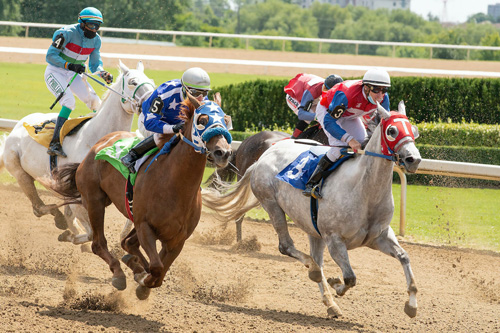 horse racing