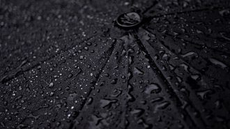 rainy umbrella