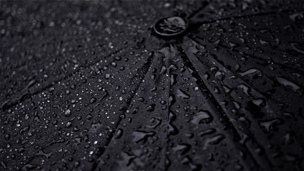 rainy umbrella