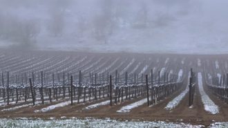 snow at vina robles