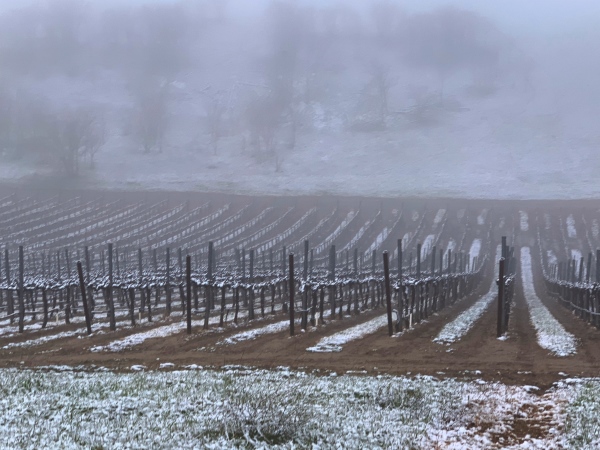 snow at vina robles