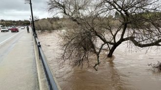 A full Salinas River at the 13th Street Bridge in Paso Robles. Photo by Richard Mason.