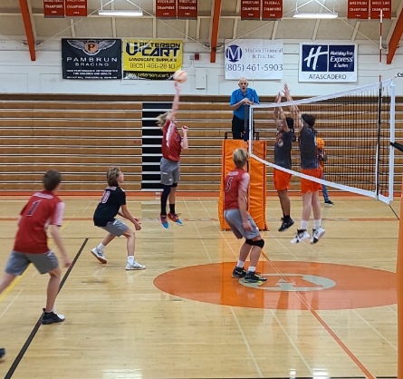 Bearcats triumph over Greyhounds in Ocean League volleyball opener