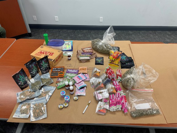 APD Seizes Marijuana, Psilocybin, and LSD
