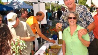 Olive & Lavender festival