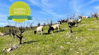 Tablas Creek wins Environment Award