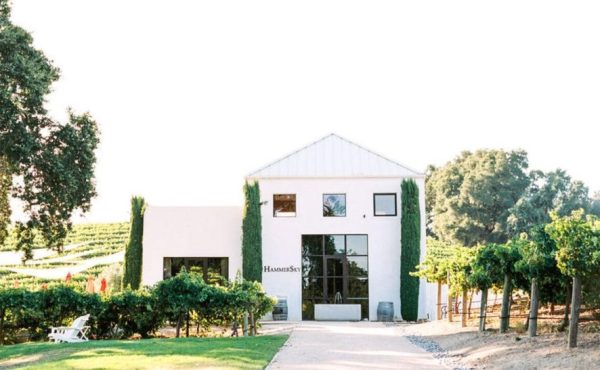 hammer sky vineyard