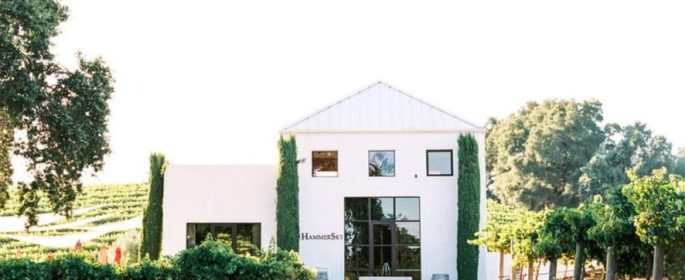 hammer sky vineyard