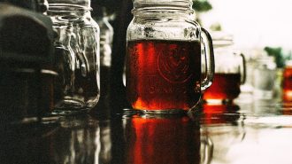 home brew stock