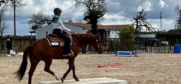 'Back in the Saddle' open horse show to benefit SLO County 4-H Horse Project