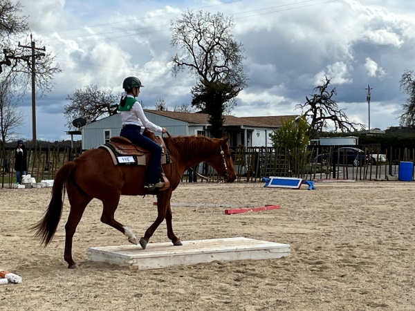 'Back in the Saddle' open horse show to benefit SLO County 4-H Horse Project