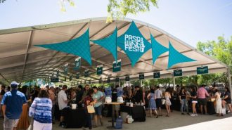 paso robles wine fest