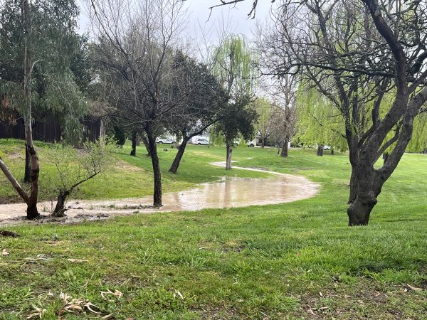 Turtle Creek in Paso Robles. Photo by Richard Mason.