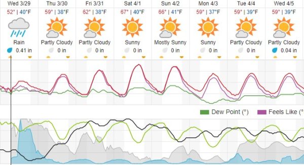 weather forecast