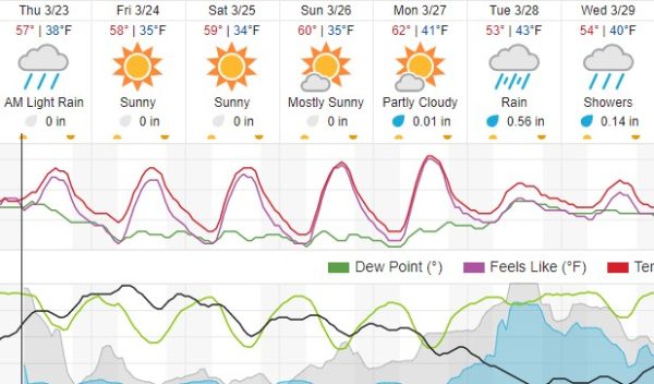 weather forecast