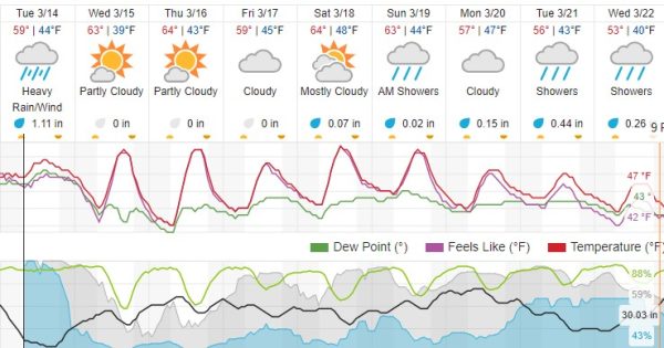 weather forecast