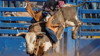 Top cowgirls and cowboys to compete at SLO County Sheriff's Rodeo