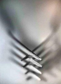 Figure 4 Artist Lynn Schmidt