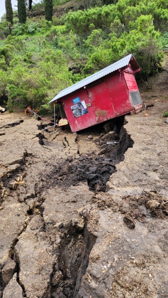 Animal rescue organization seeks help after storm damage