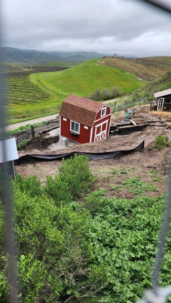Animal rescue organization seeks help after storm damage