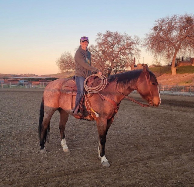 Redwings Horse Sanctuary welcomes new executive director
