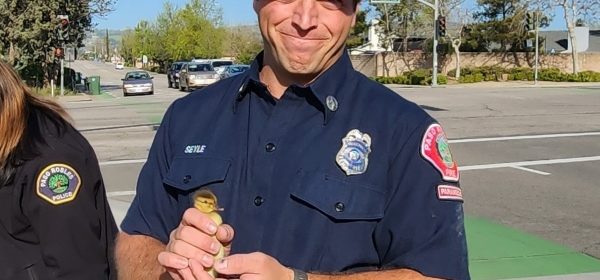 firefighter with duckling
