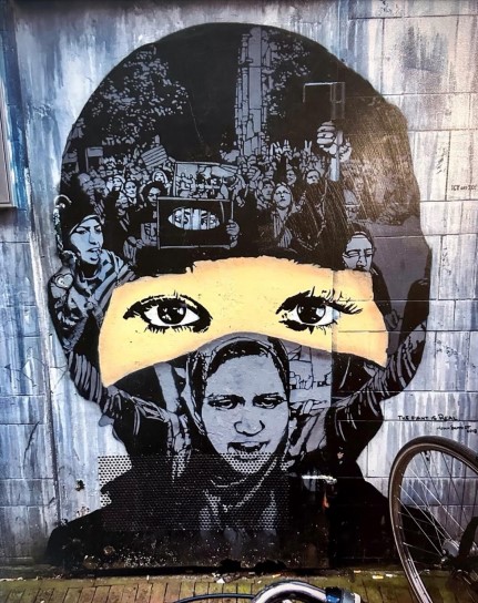 Figure 1 Artist Lynn Schmidt