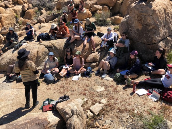 joshua tree 1