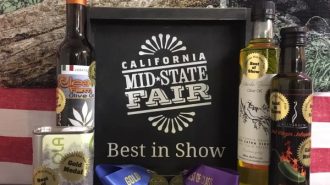 olive oil competition