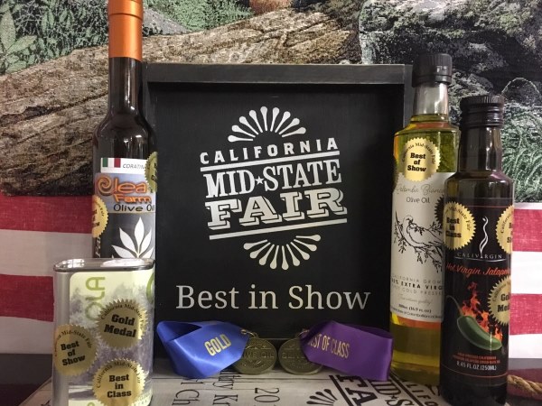 olive oil competition