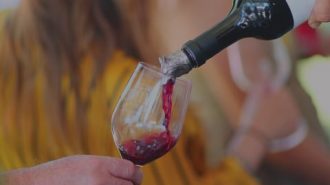 paso wine fest