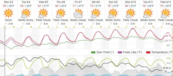 weather forecast