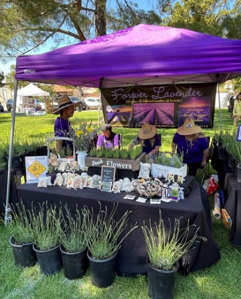 Lavendar booth