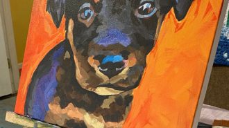Paint Your Pet