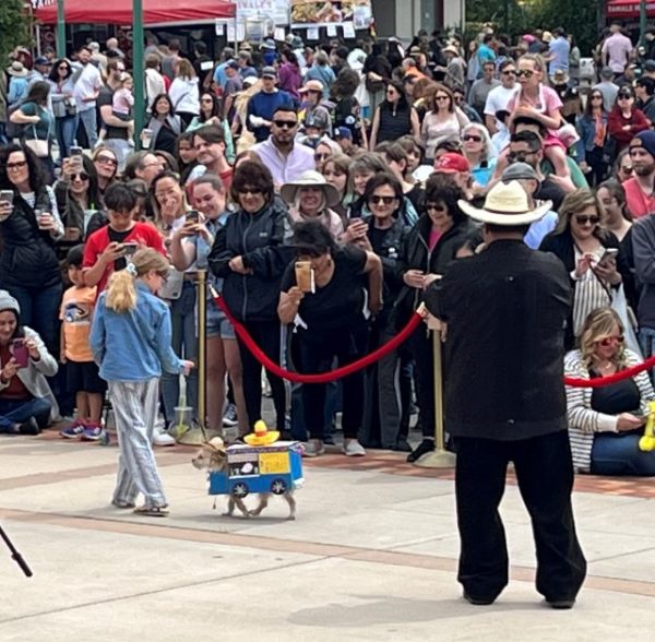 Atascadero Tamale Festival attracts thousands