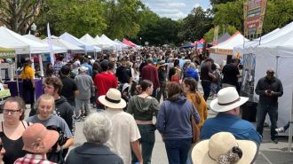 Tamale Fest crowd with hats