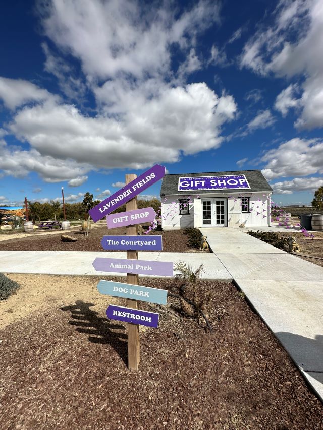 The Lavender Garden to kick off Spring bloom celebration this weekend