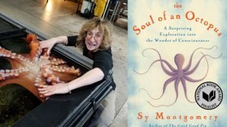 book and author