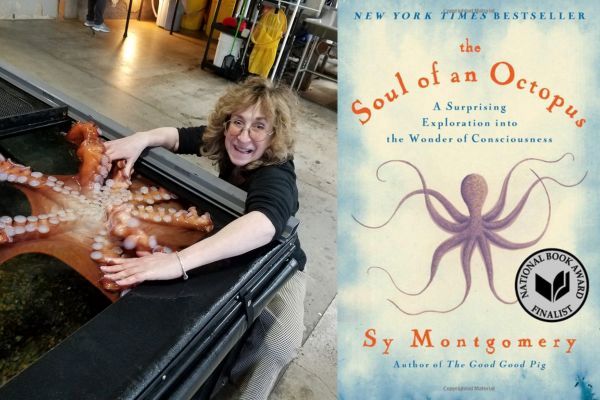 book and author