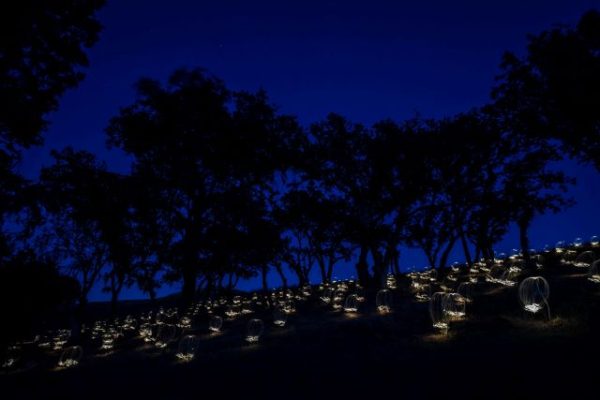 Sensorio unveils two new art exhibits