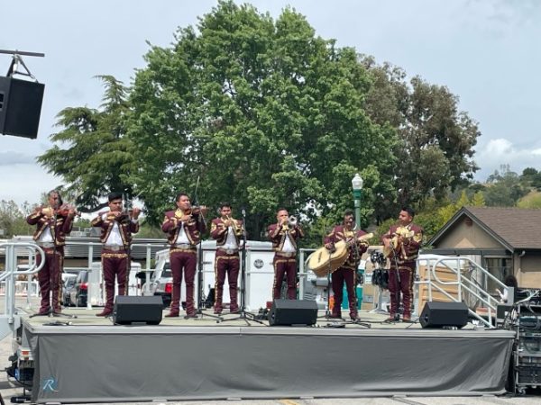 tamale fest