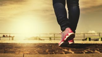 walking stock img