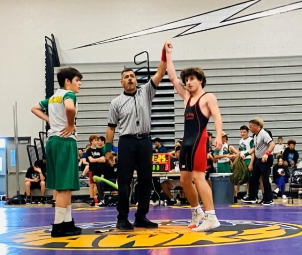 wrestling 1